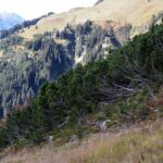 ERP eCommerce Integration Elevates Business Efficiency and Revenue