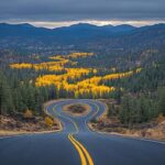 Best Route Optimization Software for Maximum Efficiency